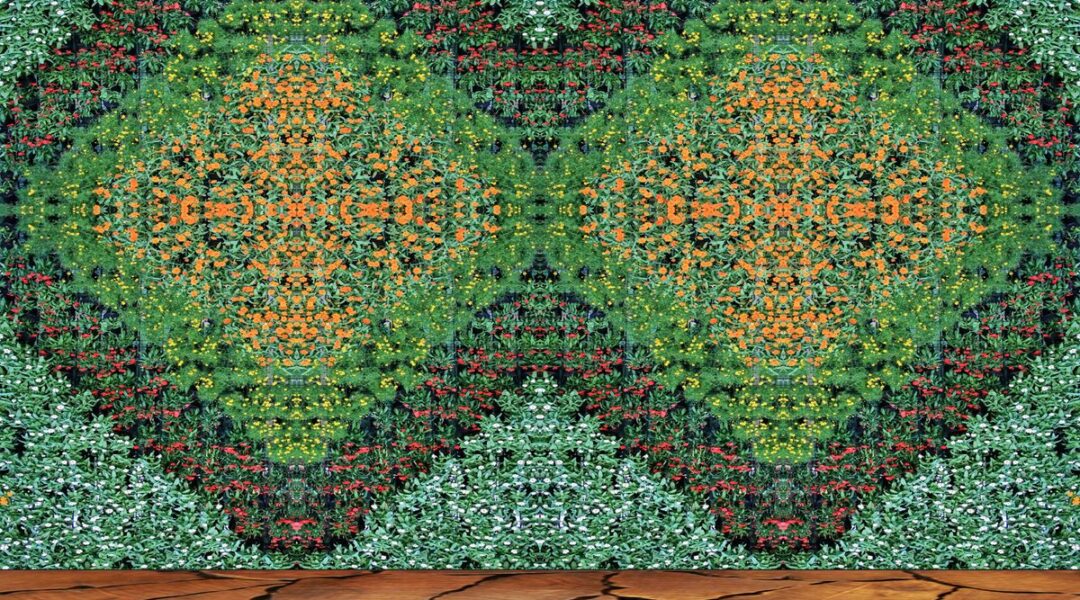 mur-vegetal