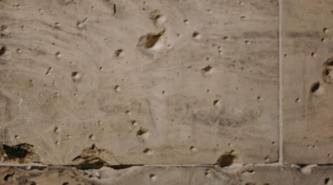 trou-mur-bois