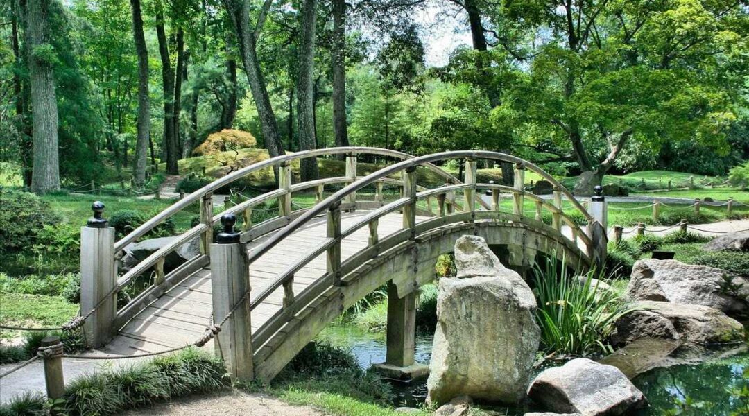 bassin-jardin