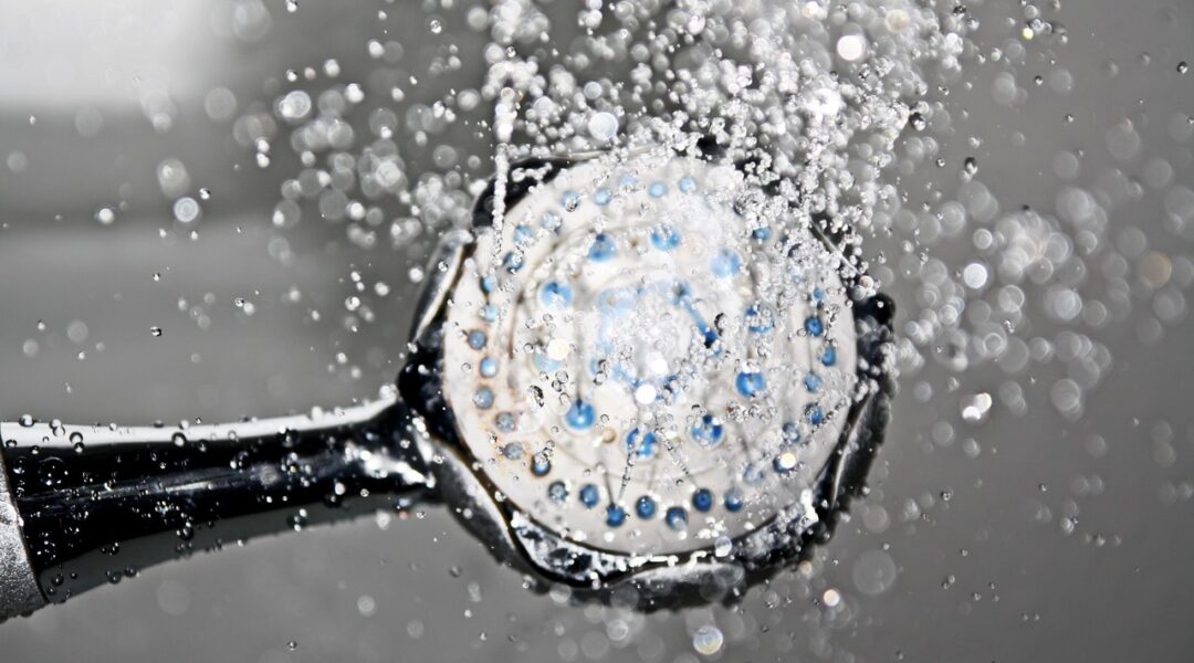 Pommeau de douche