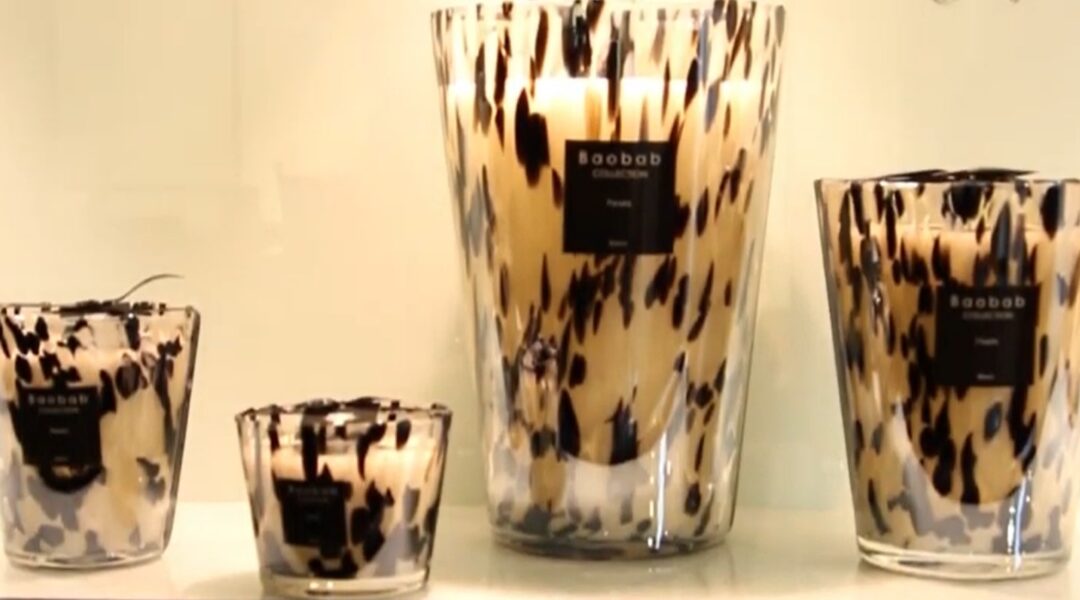 Bougie Baobab collection