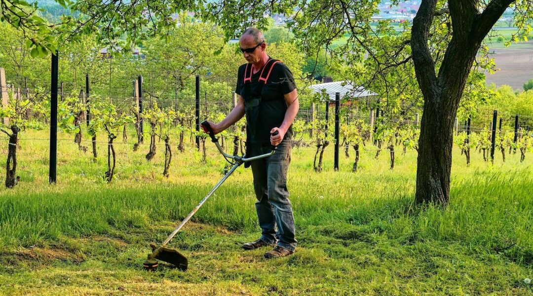 rotofil-debroussailleuse