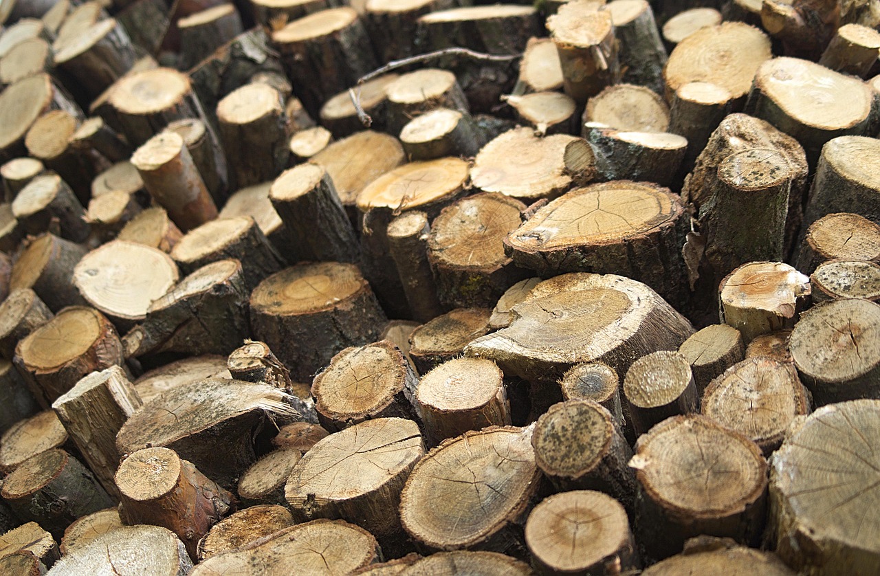 Bistre, suie, goudron : comment éviter l'encrassement de son conduit de cheminée ?