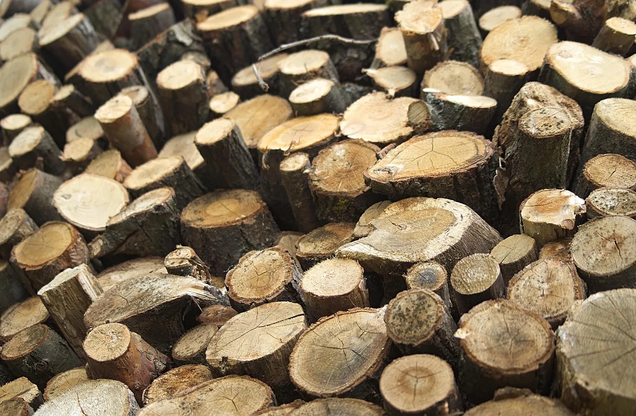 Bistre, suie, goudron : comment éviter l'encrassement de son conduit de cheminée ?