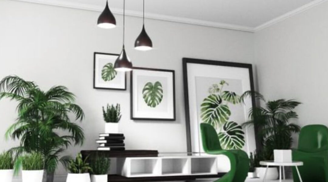 plante-decoration-scandinave