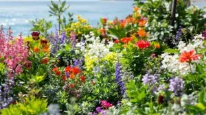 Que planter dans un jardin en bord de mer : conseils pour réussir son aménagement à La Rochelle