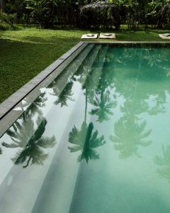 piscine verte