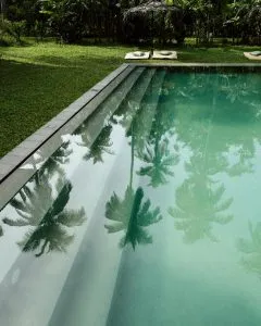 piscine verte