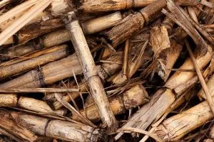 combustible-biomasse