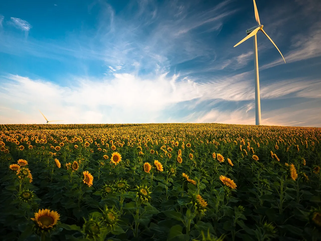 Énergie éolienne