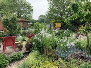 amenagement-jardin