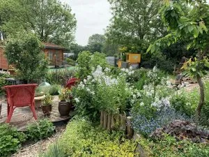 amenagement-jardin