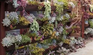 jardin-vertical