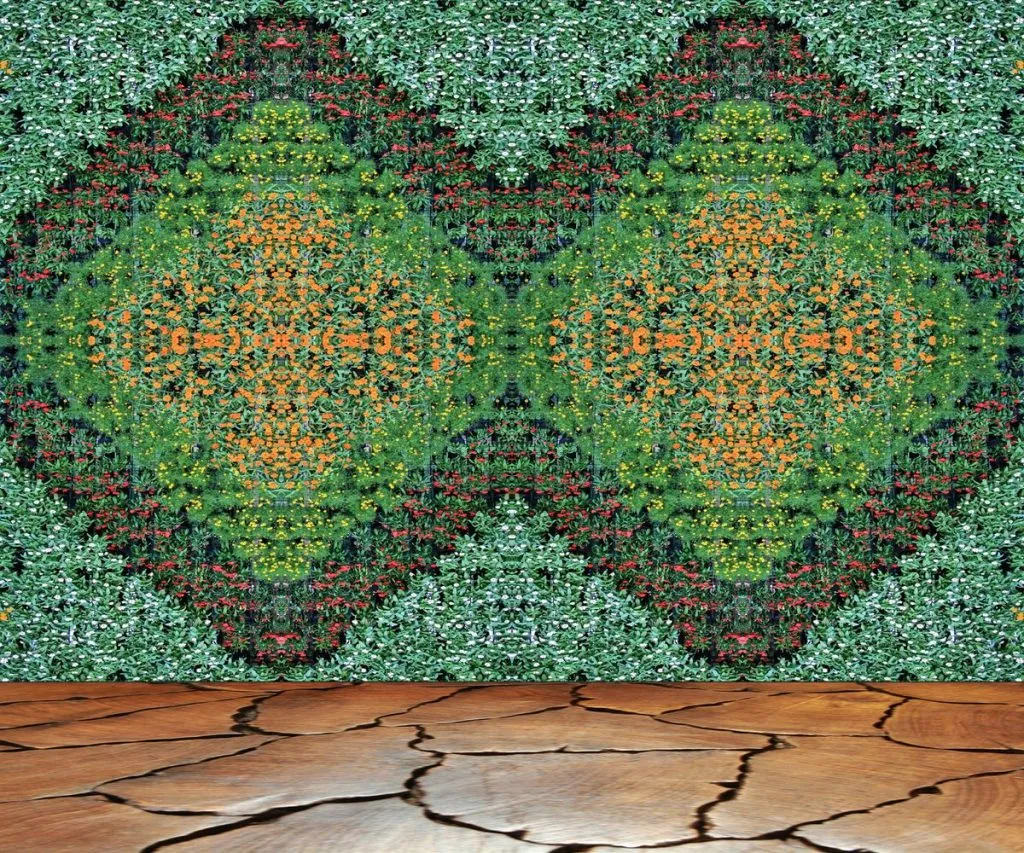 mur-vegetal