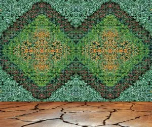 mur-vegetal