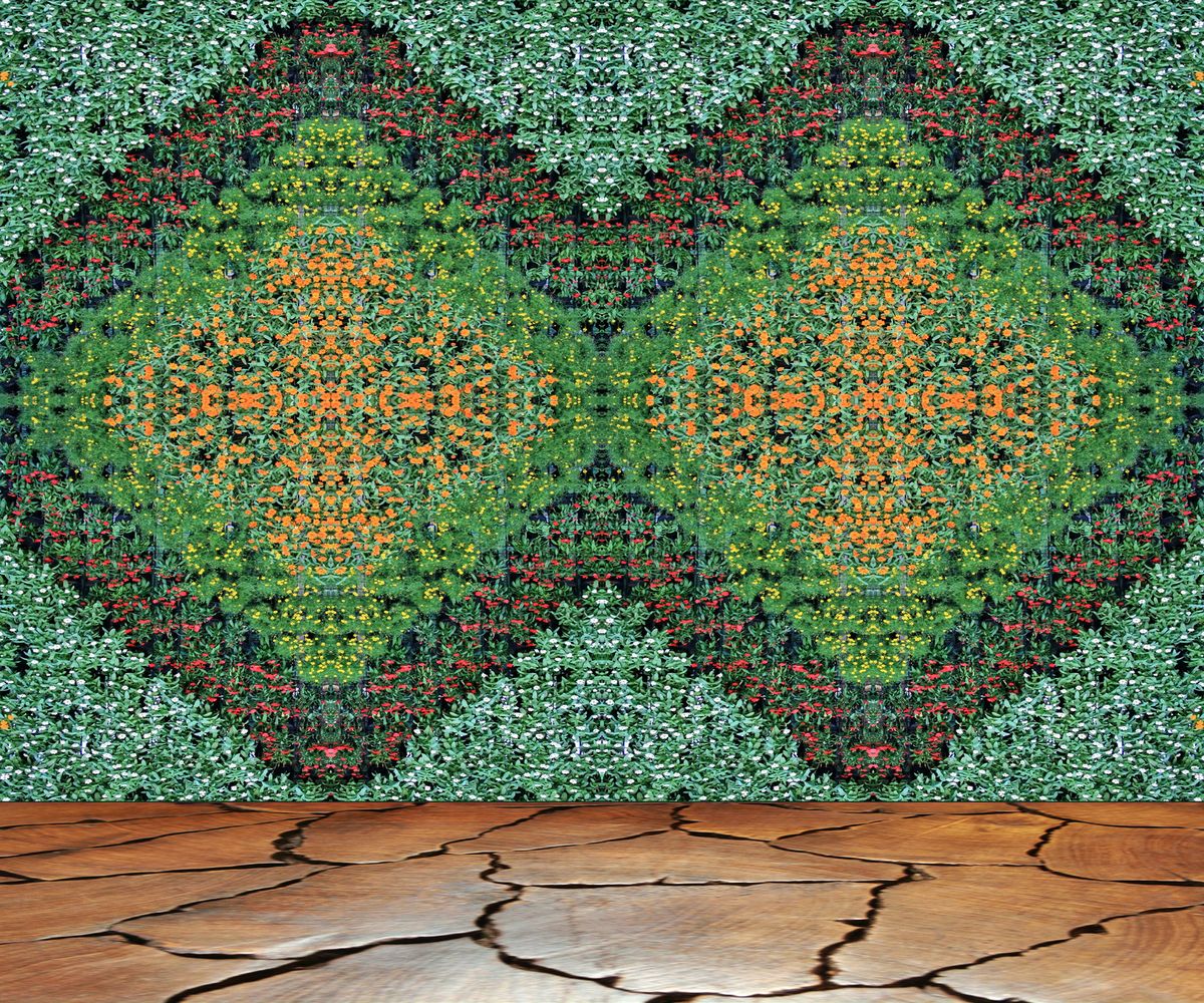mur-vegetal