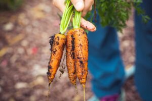 mini-potager-balcon