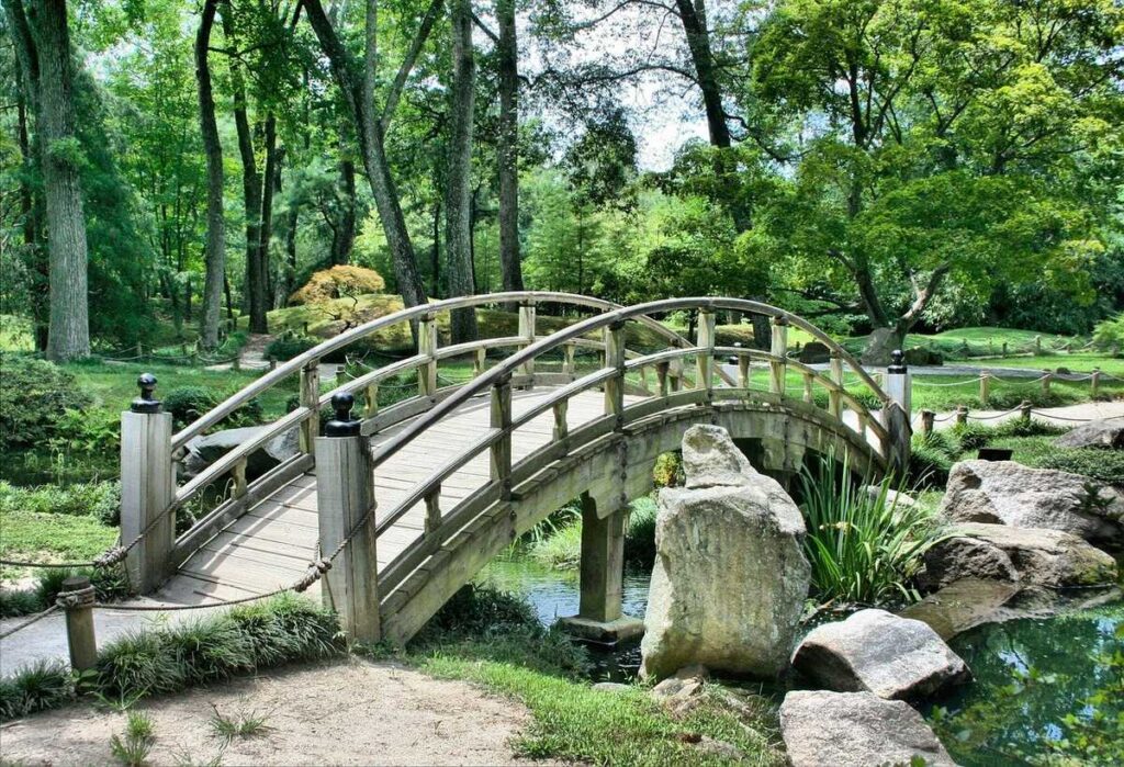 bassin-jardin