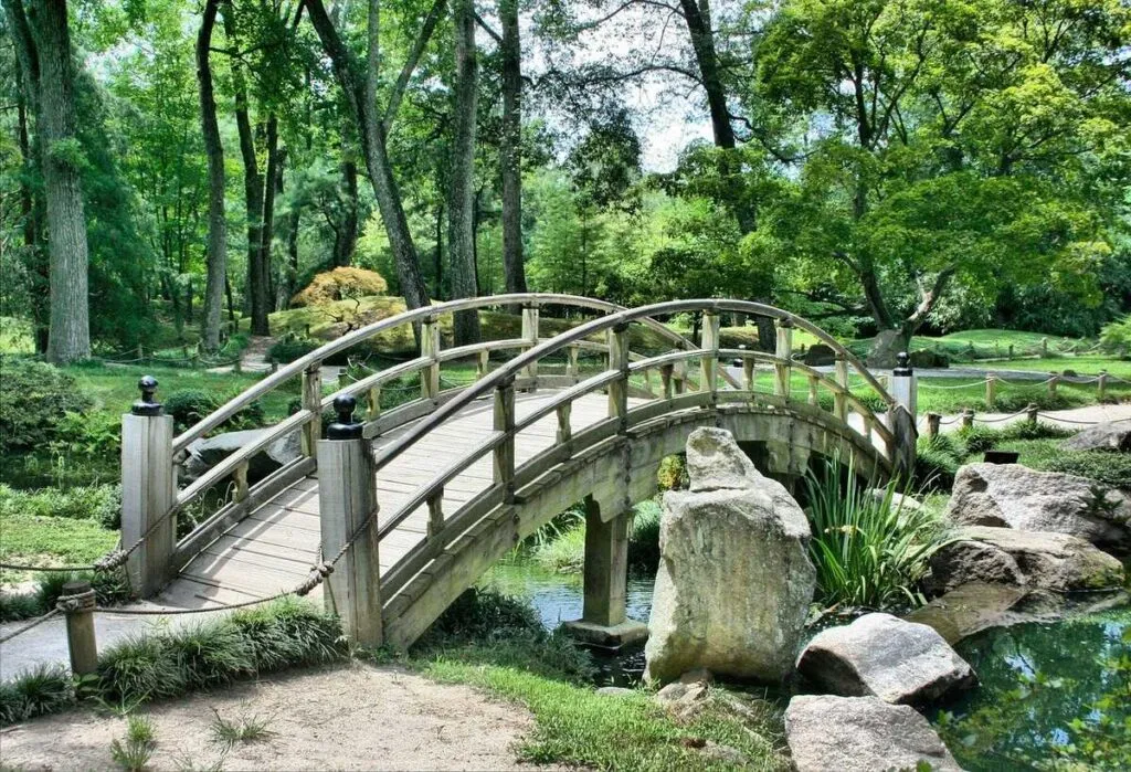 bassin-jardin