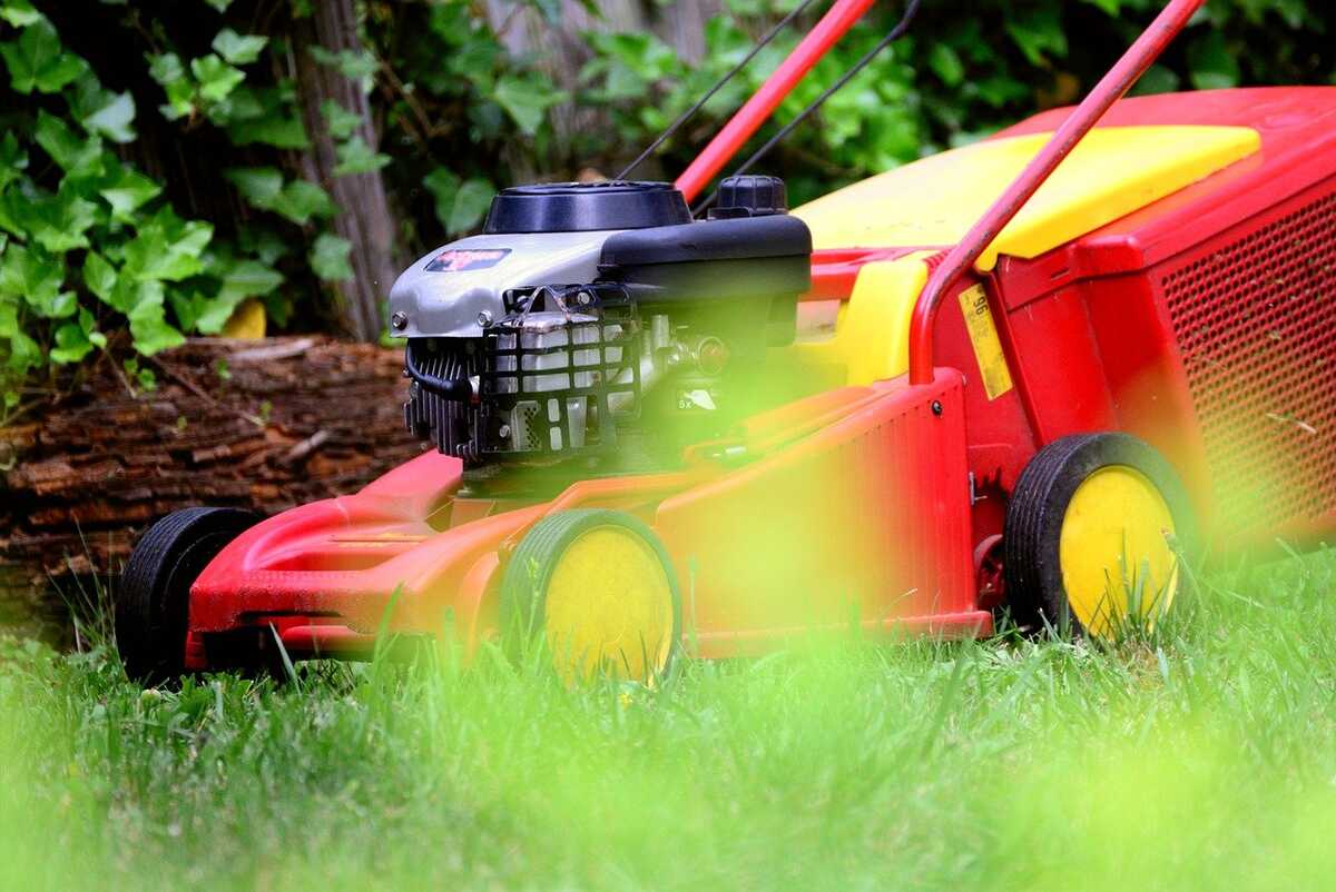 scarificateur-thermique-jardin