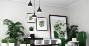 plante-decoration-scandinave