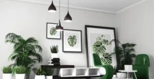 plante-decoration-scandinave