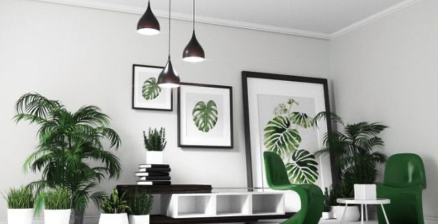 plante-decoration-scandinave