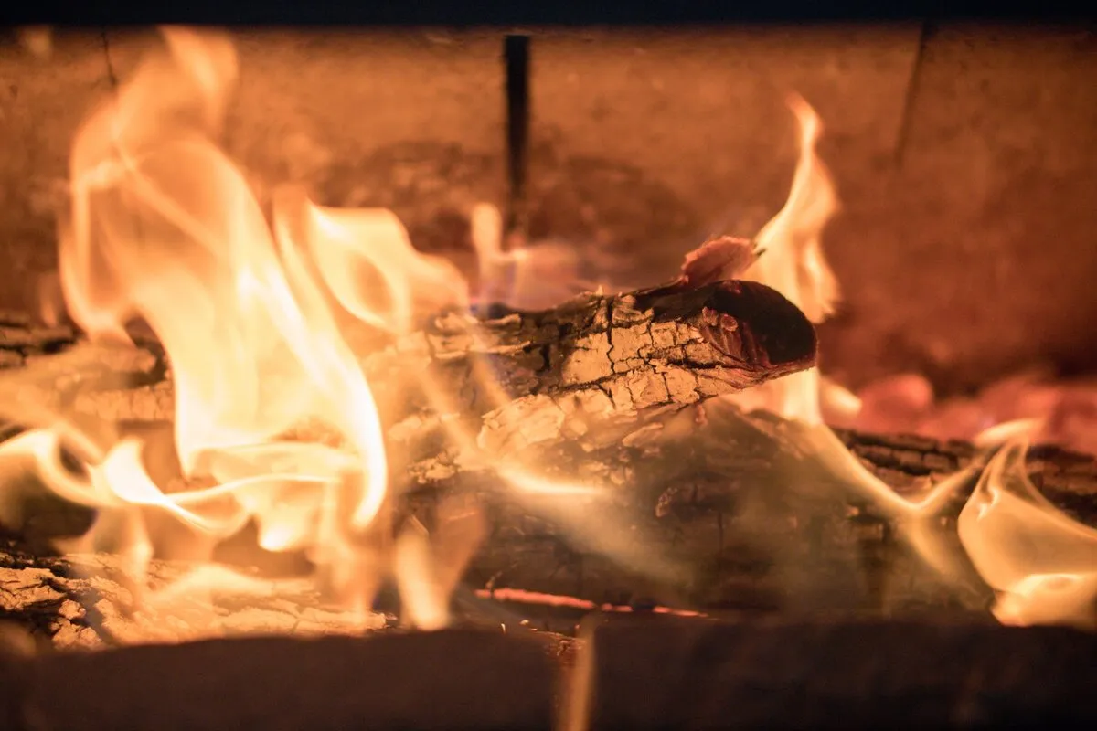 feu de bois
