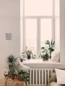 fenetre-blanche-maison