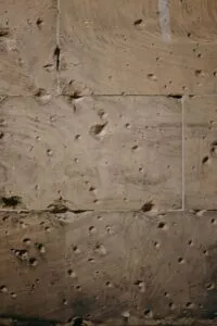 trou-mur-bois