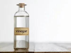 vinaigre