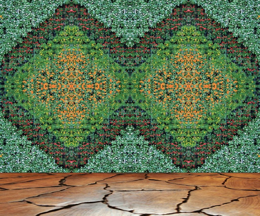 mur-vegetal