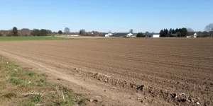 Vendre un terrain à un promoteur immobilier : comment estimer sa valeur